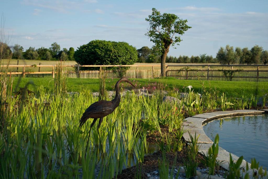 Agriturismo La Breda Pensionat San Felice del Benaco Eksteriør billede