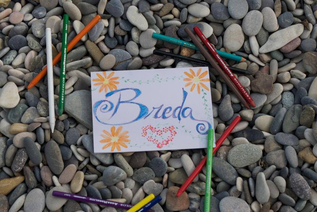 Agriturismo La Breda Pensionat San Felice del Benaco Eksteriør billede